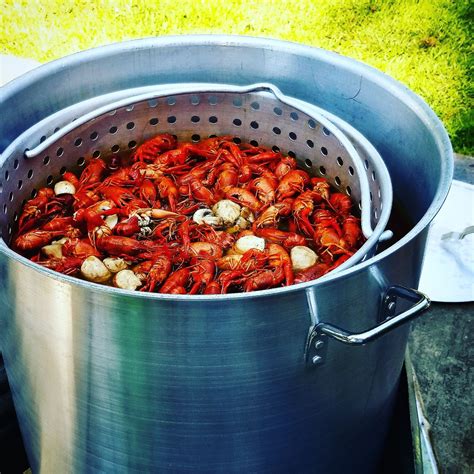 Crawfish pot - 200 quart (50 gallon) capacity for 3-4 sacks of crawfish. 500k BTU 4 jet stainless jet burner to rapidly bring to a boil. 1.5″ 316 stainless ball valve with v-shaped bottom for easy draining. Hinged lid and basket for dumping into an ice chest or on a table. Basket can also be lifted out for manually dumping.